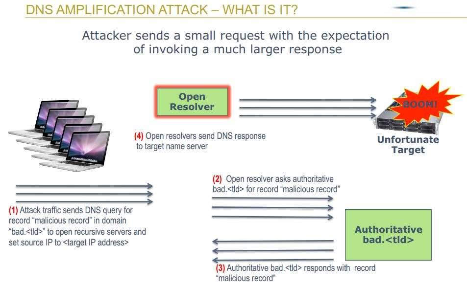 Dns amplification что это